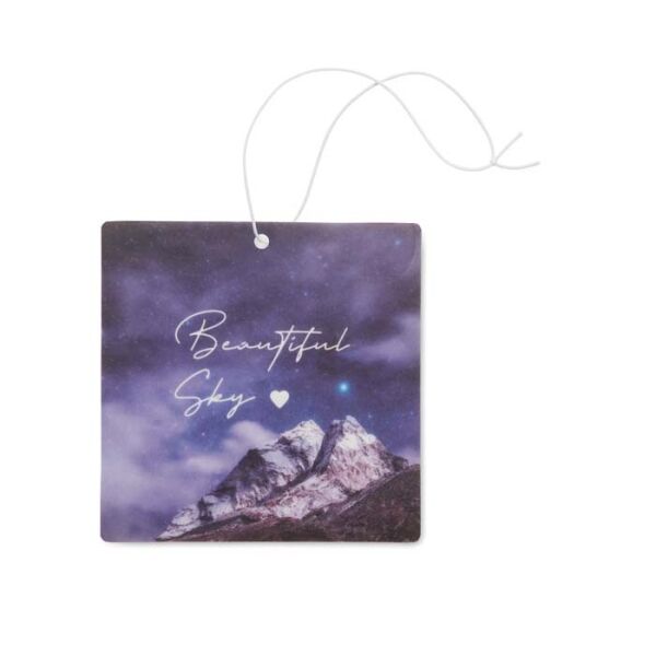 Auto luchtverfrisser in aangepaste vorm (25-30 dagen), UFI geregistreerd.