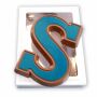 Sint letter in je eigen kleur